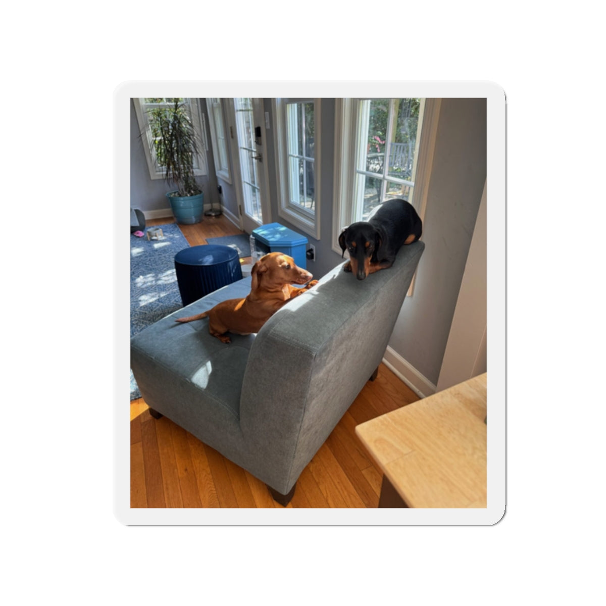 Die-Cut Magnet — Custom Photo Dachshund & Dog Refrigerator Magnet
