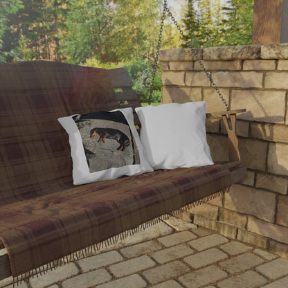 Dachshund Sunbathing Outdoor Pillow – Cute Dog Photo Patio Cushion