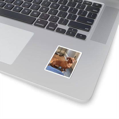 Dachshund Photo Kiss-Cut Sticker — Cute Brown Sausage Dog Laptop Decal