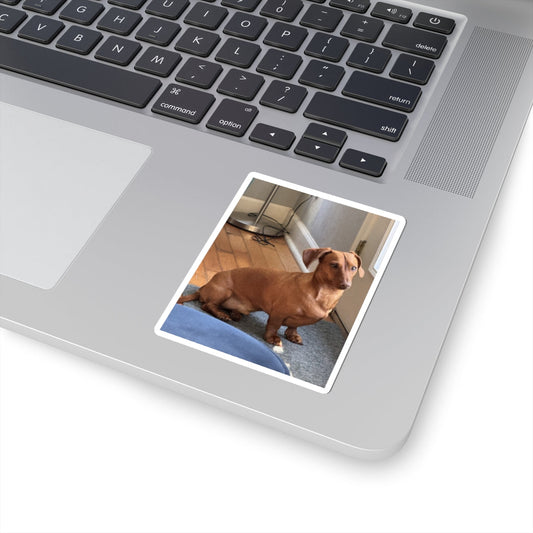 Dachshund Photo Kiss-Cut Sticker — Cute Brown Sausage Dog Laptop Decal