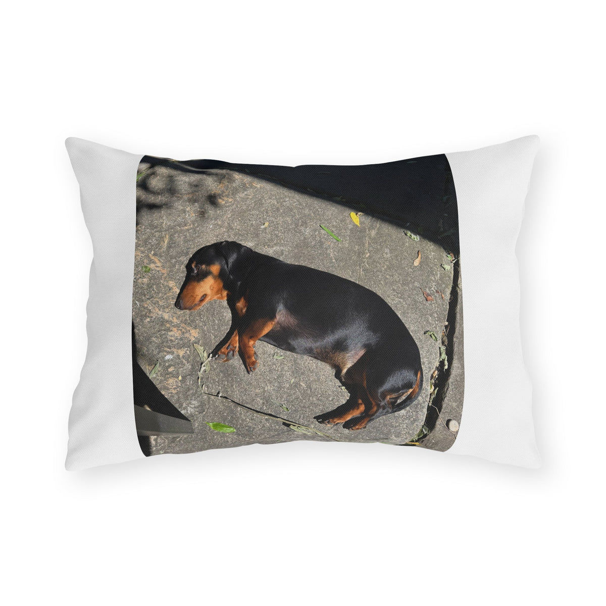 Dachshund Sunbathing Outdoor Pillow – Cute Dog Photo Patio Cushion