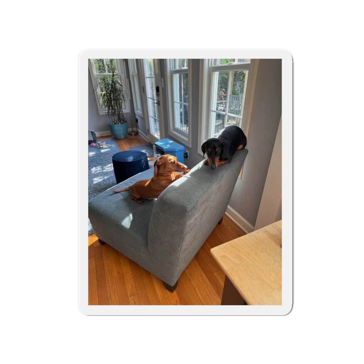 Die-Cut Magnet — Custom Photo Dachshund & Dog Refrigerator Magnet