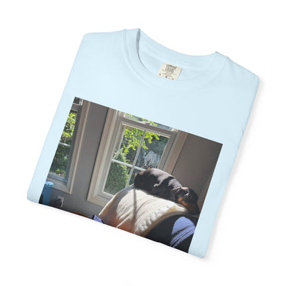T-Shirt — Photo Print of Dogs Lounging in Sunlight