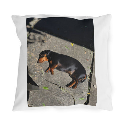 Dachshund Sunbathing Outdoor Pillow – Cute Dog Photo Patio Cushion