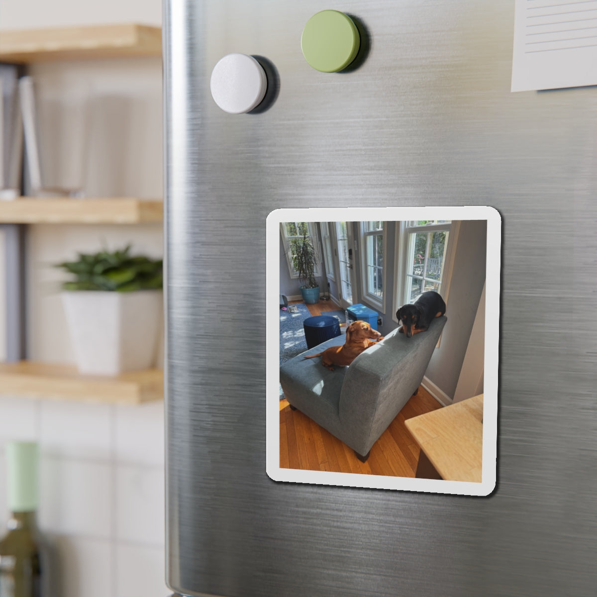 Die-Cut Magnet — Custom Photo Dachshund & Dog Refrigerator Magnet