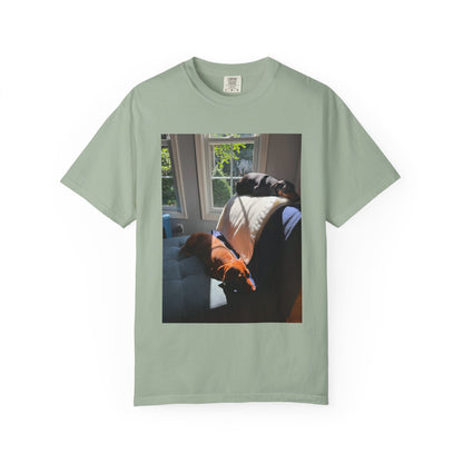 T-Shirt — Photo Print of Dogs Lounging in Sunlight