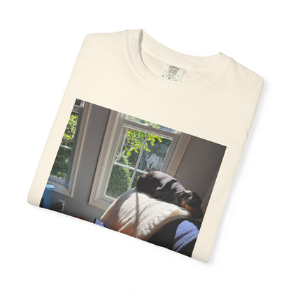 T-Shirt — Photo Print of Dogs Lounging in Sunlight