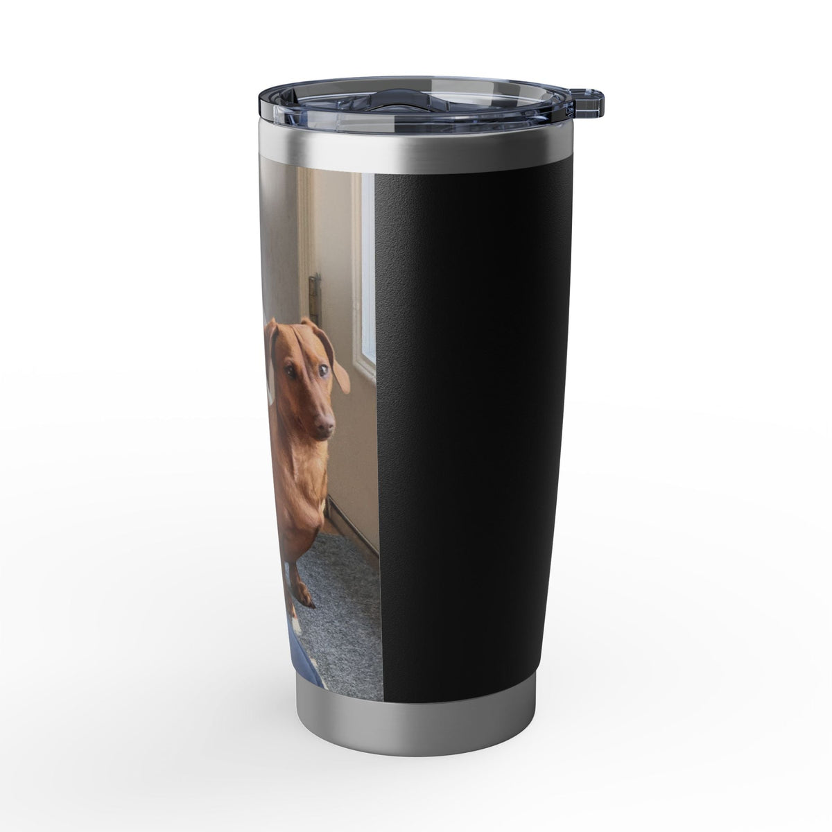 Dog Photo Travel Tumbler - Personalized 20oz Insulated Cup