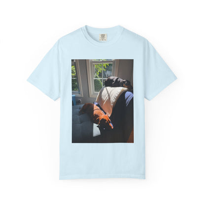 T-Shirt — Photo Print of Dogs Lounging in Sunlight