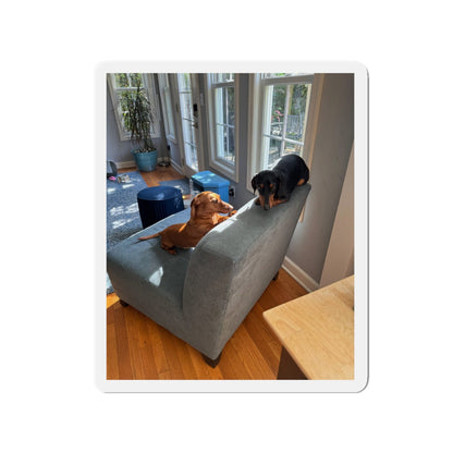 Die-Cut Magnet — Custom Photo Dachshund & Dog Refrigerator Magnet
