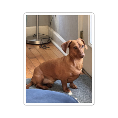 Dachshund Photo Kiss-Cut Sticker — Cute Brown Sausage Dog Laptop Decal