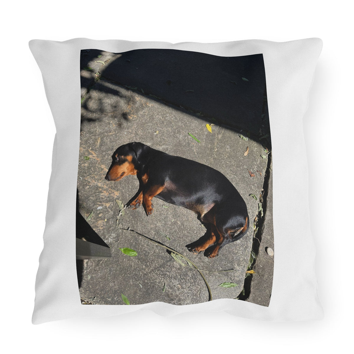 Dachshund Sunbathing Outdoor Pillow – Cute Dog Photo Patio Cushion