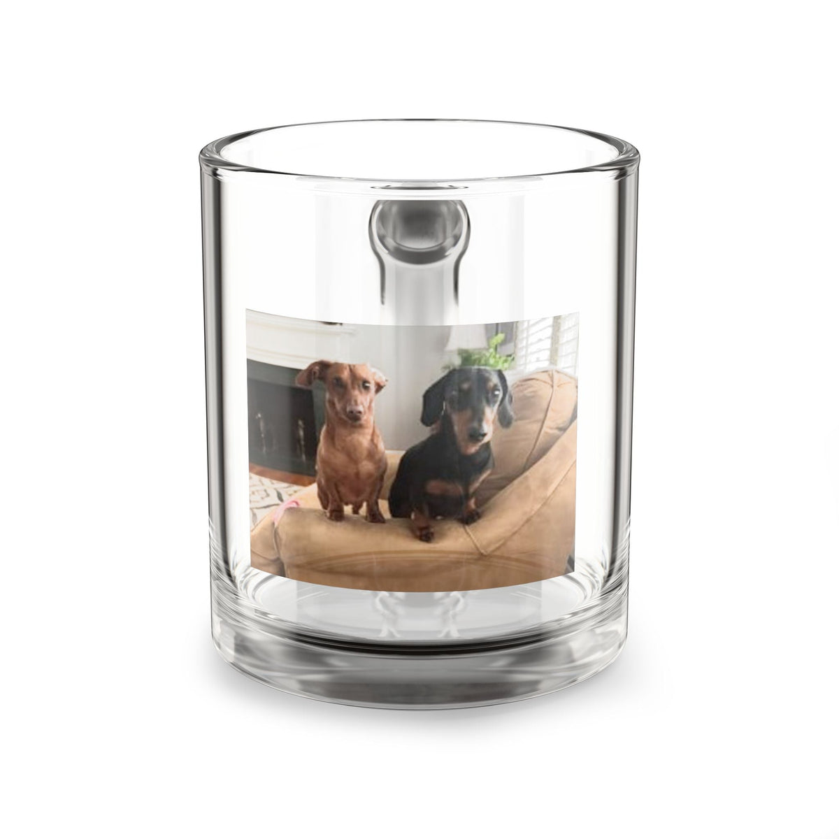 Photo Glass Mug 10oz — Custom Pet Picture Coffee Cup