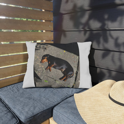 Dachshund Sunbathing Outdoor Pillow – Cute Dog Photo Patio Cushion